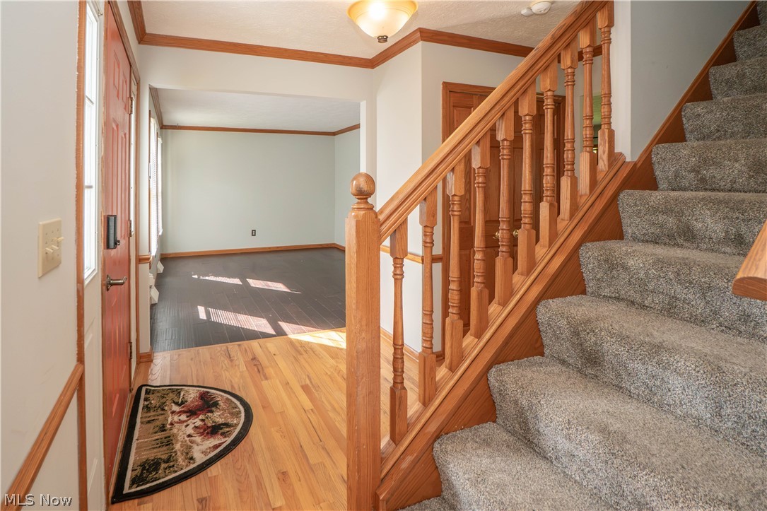 498 Herbert Road Property Photo 4