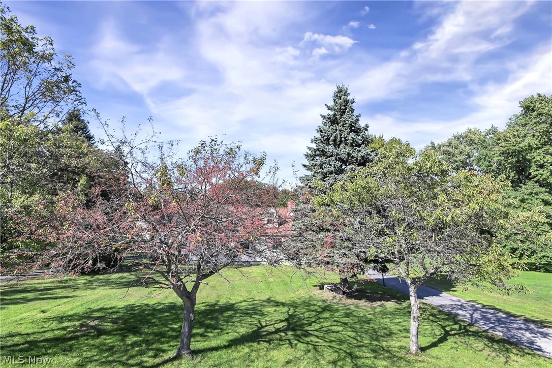 9327 Lake Shore Boulevard Property Photo 5
