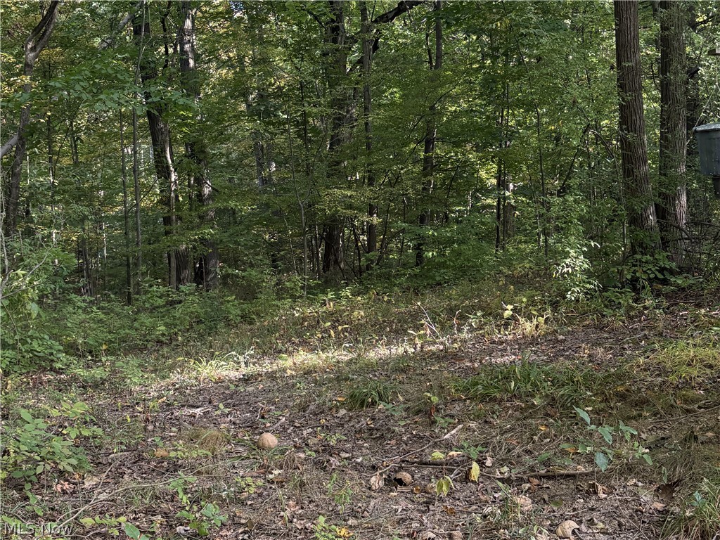 4075 Hamilton Road Property Photo 36
