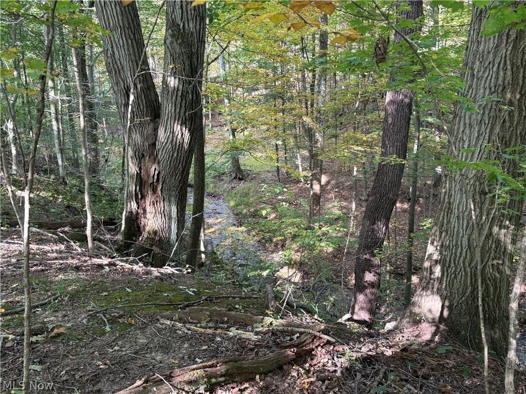 4075 Hamilton Road Property Photo 37