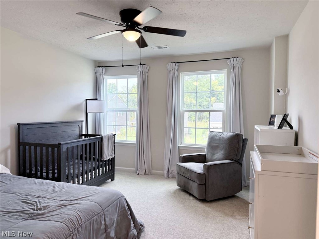 2020 Sugar Maple Drive Property Photo 15