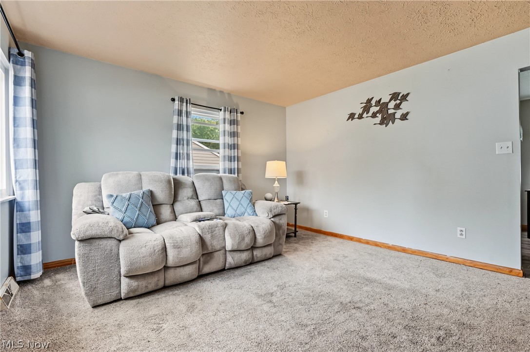 4111 Vira Road Property Photo 3