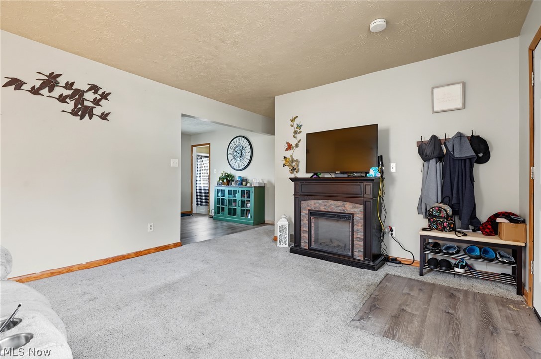 4111 Vira Road Property Photo 4