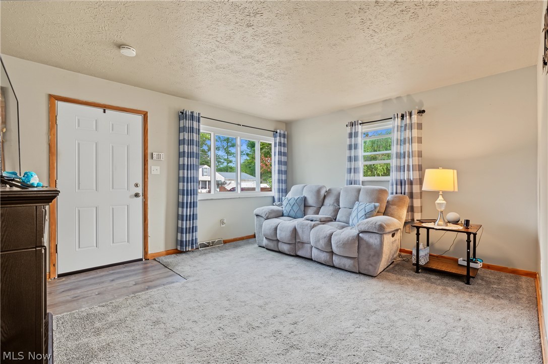 4111 Vira Road Property Photo 5