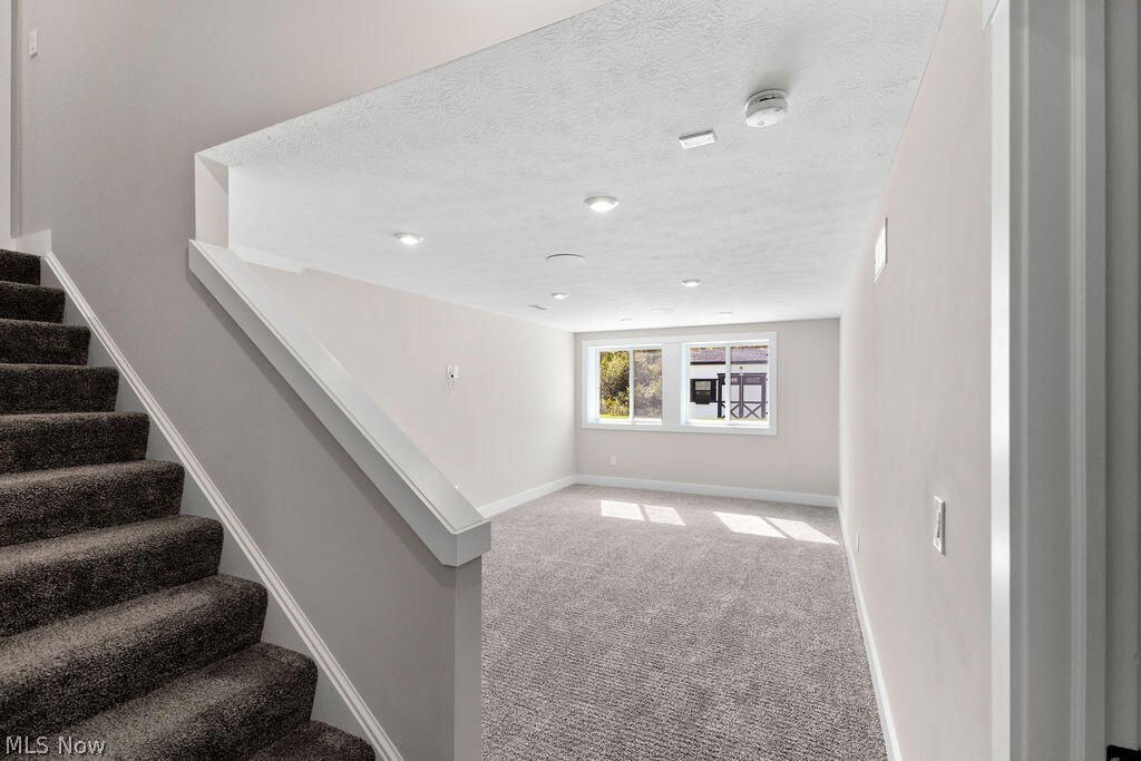 2818 Weeping Pine Drive Property Photo 43
