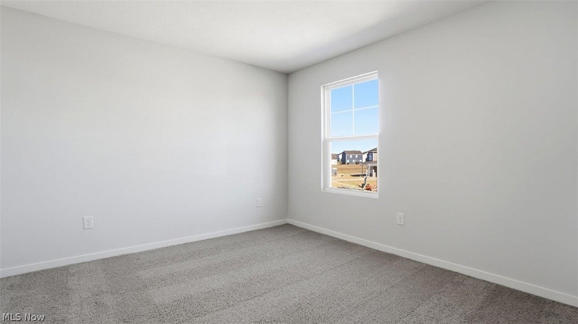 146 Appleseed Way Property Photo 33