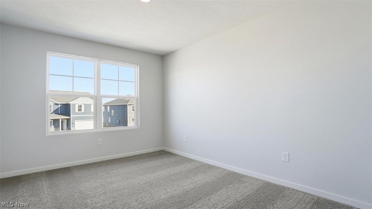 146 Appleseed Way Property Photo 37