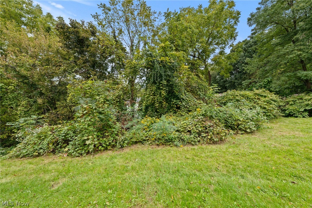 1117 Smithfarm Property Photo 44