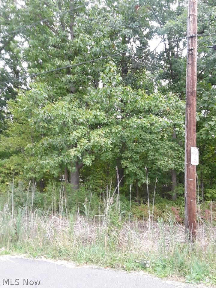 3841 Lorain Avenue Property Photo 2