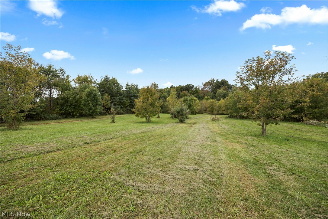 9742 Firestone Road Property Photo 41