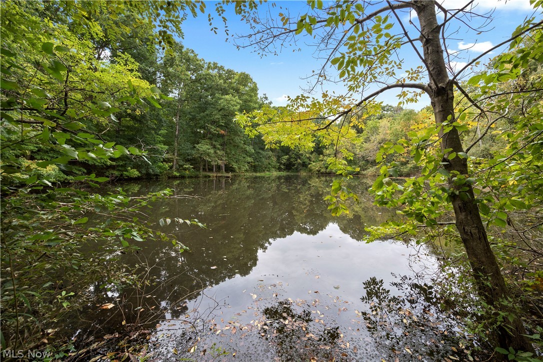 9742 Firestone Road Property Photo 42