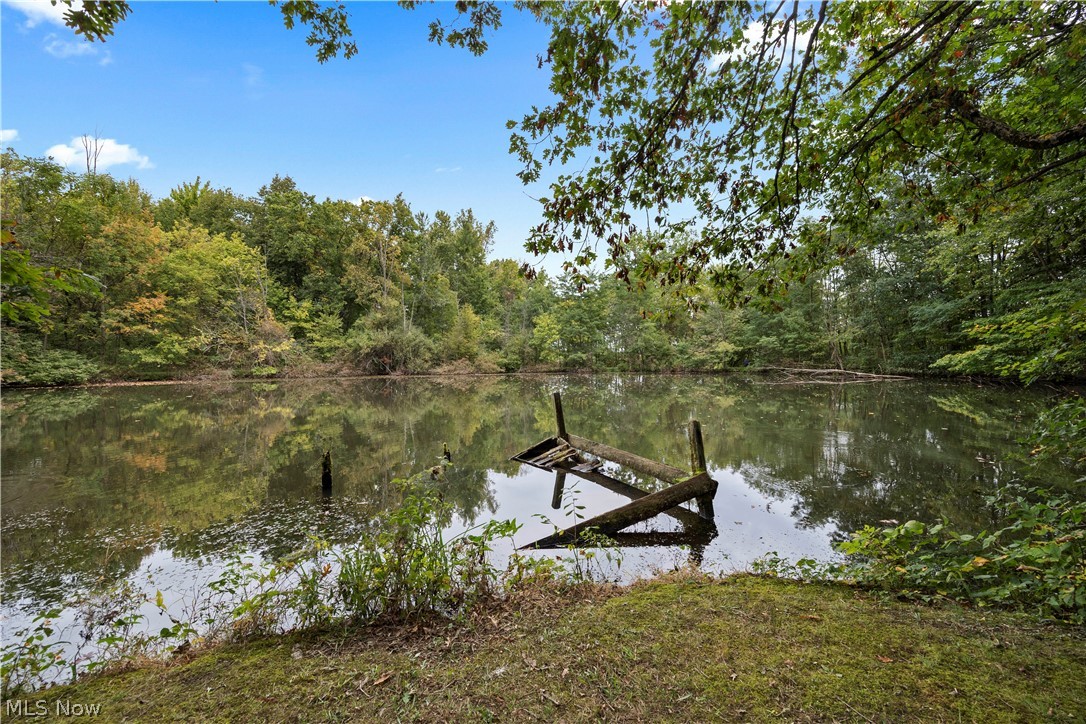 9742 Firestone Road Property Photo 43