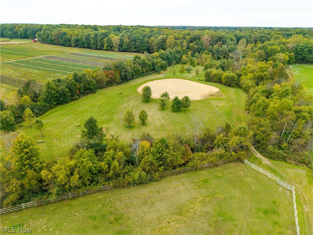 9742 Firestone Road Property Photo 46