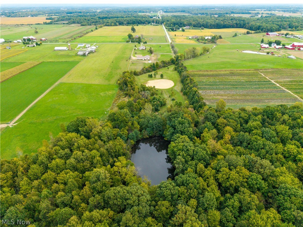 9742 Firestone Road Property Photo 47