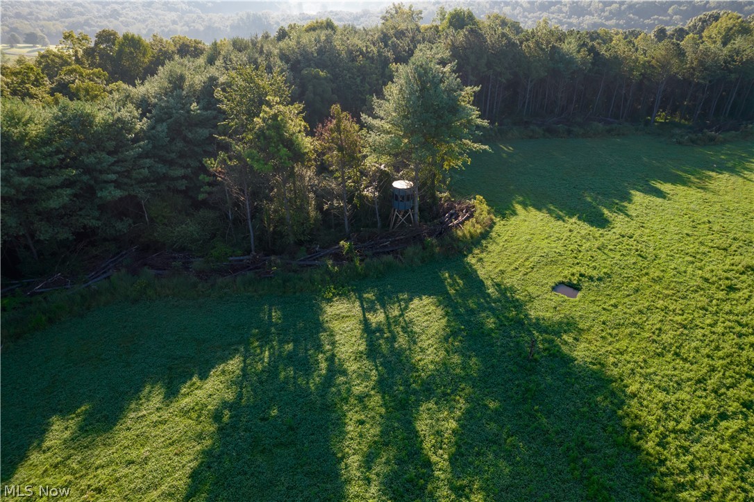 Perl Road Property Photo 1