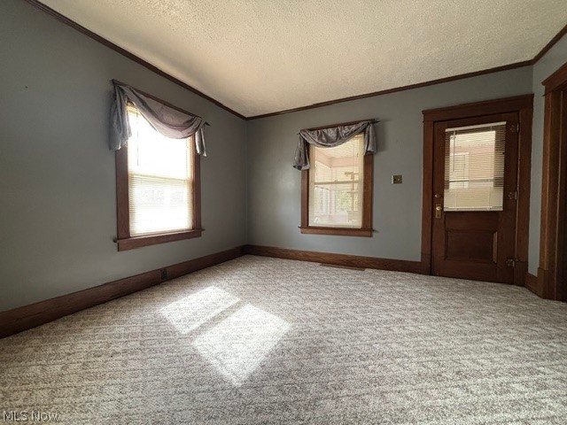 1131 Murray Avenue Property Photo 6
