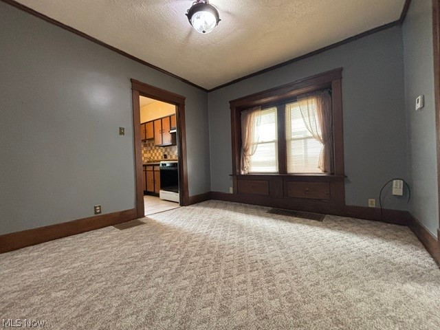 1131 Murray Avenue Property Photo 8