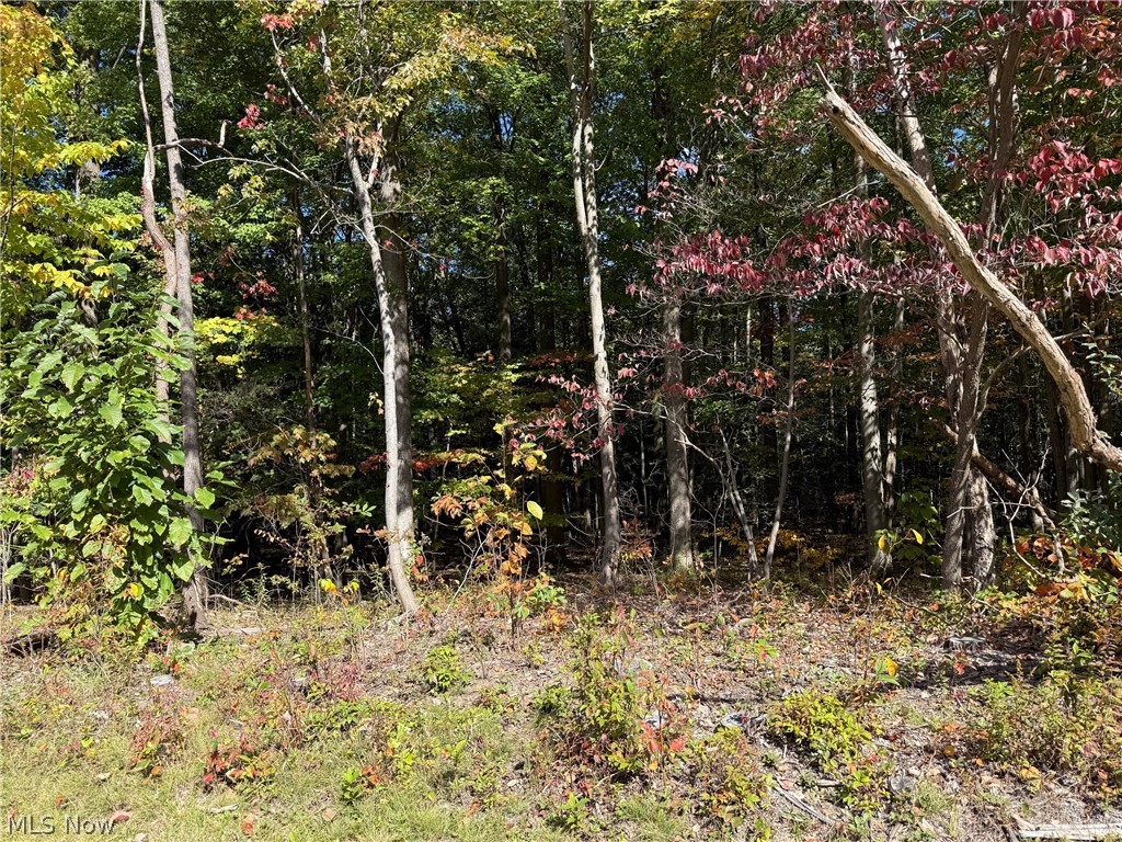 V/l 3 Trask Road Property Photo 2