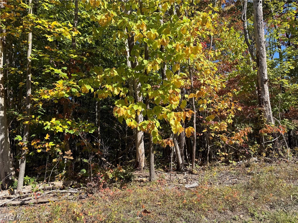 V/l 3 Trask Road Property Photo 3