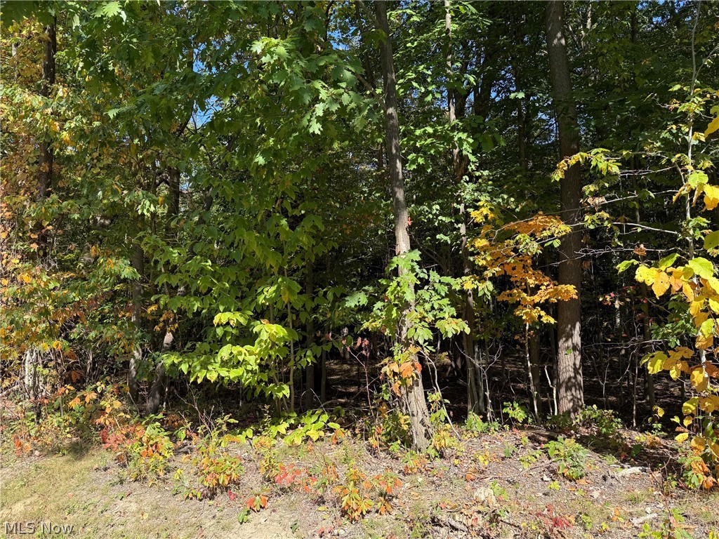 V/l 3 Trask Road Property Photo 4