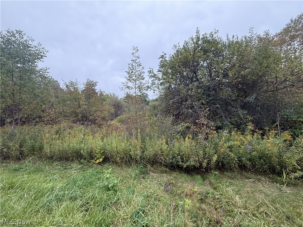 Clay Street Property Photo 1