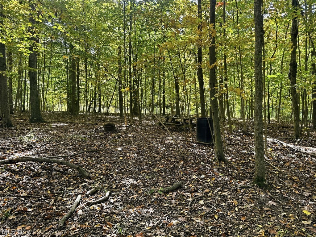 4265 State Route 13 Property Photo 6