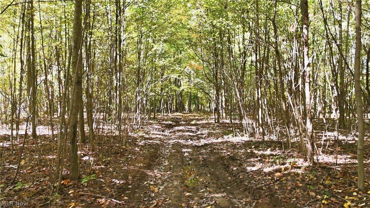 4265 State Route 13 Property Photo 8