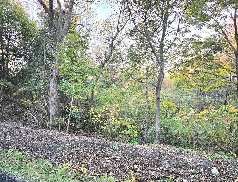 S Bender Avenue Property Photo 1