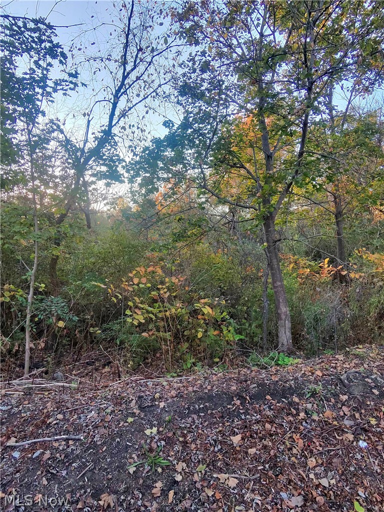 S Bender Avenue Property Photo 2