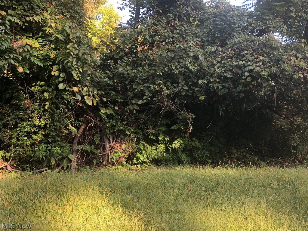 1235 Murdoch Avenue Property Photo 1