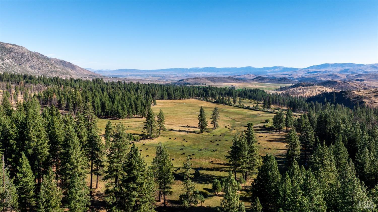 Alpine County Real Estate Listings Main Image
