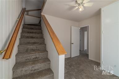 3216 Lakeshore Boulevard Property Photo 14