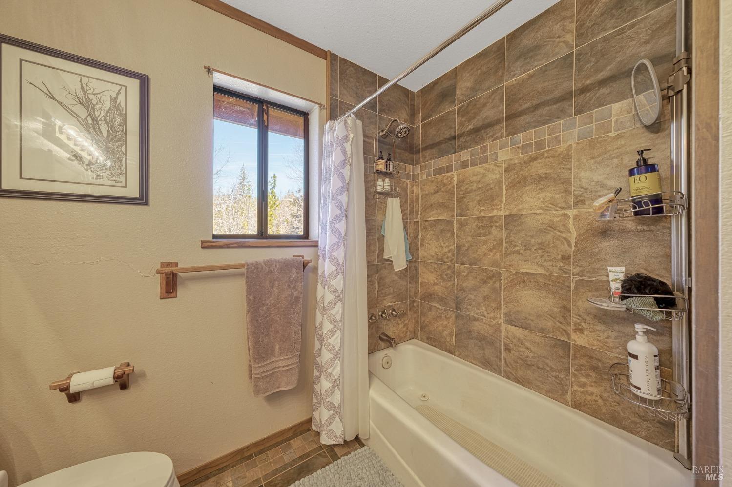10512 Rosa Trail Property Photo 43