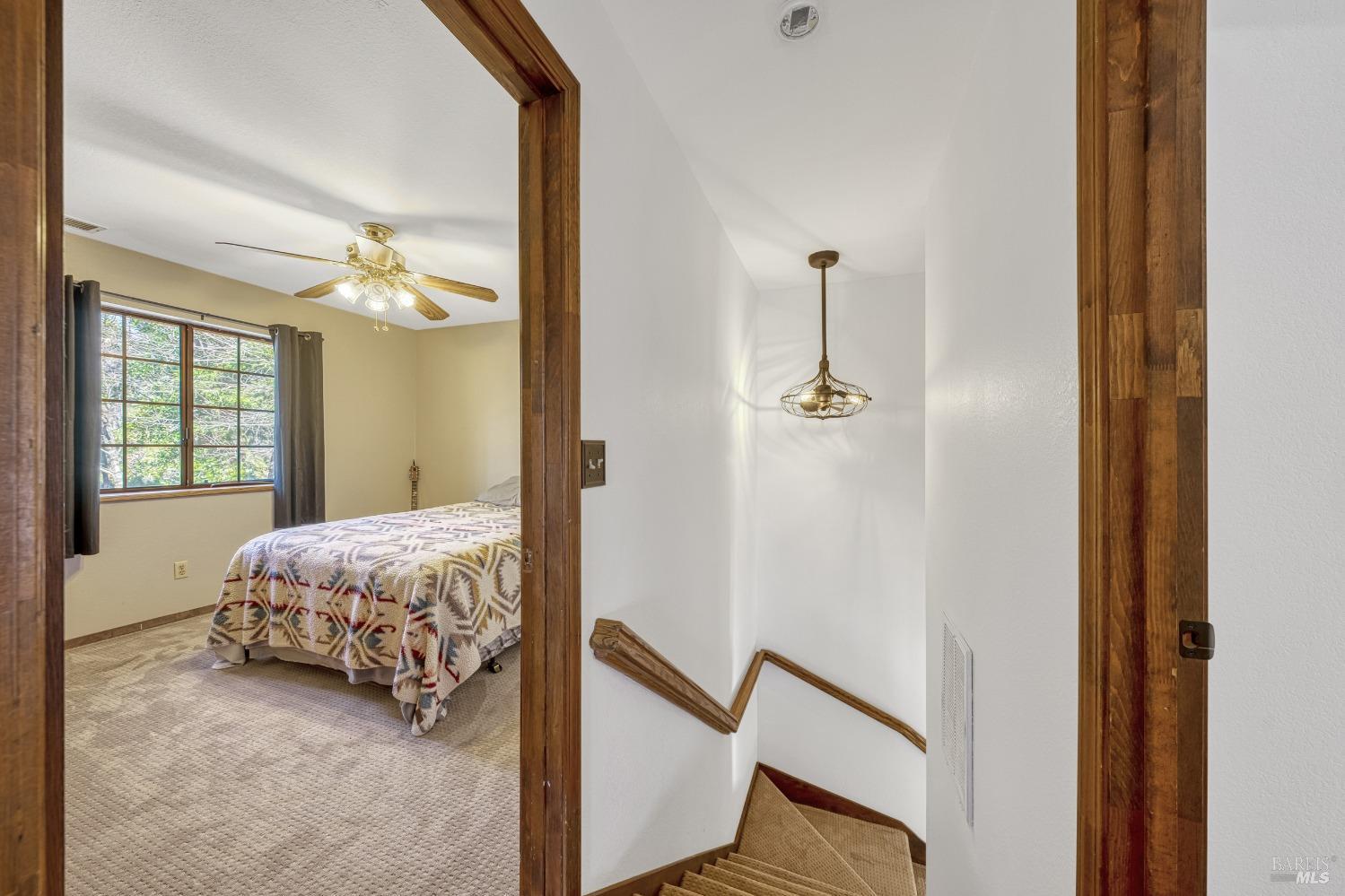 10512 Rosa Trail Property Photo 48