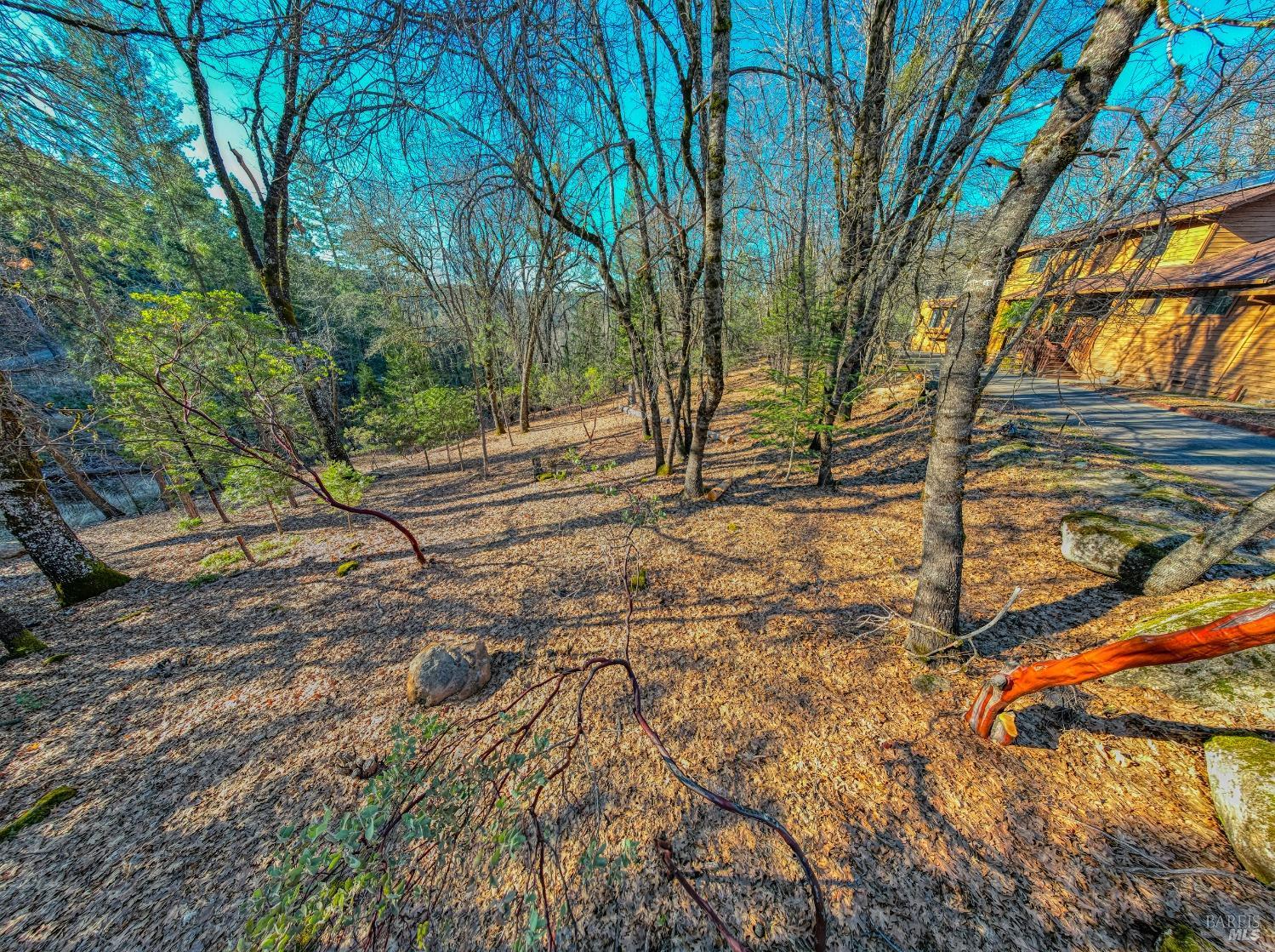 10512 Rosa Trail Property Photo 67