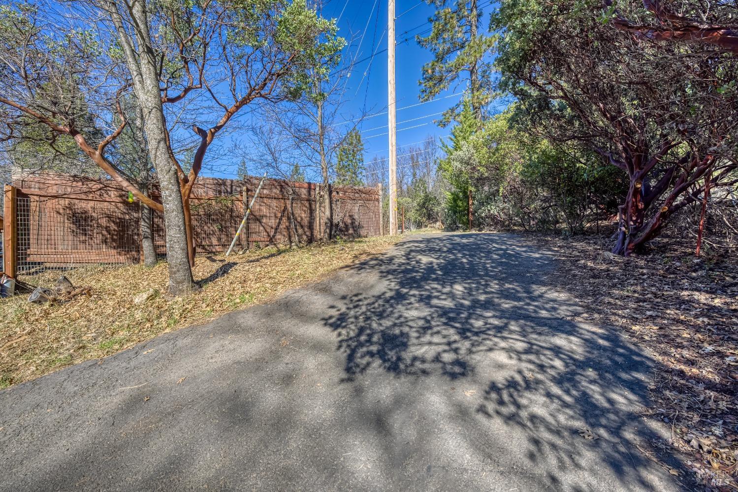 10512 Rosa Trail Property Photo 77