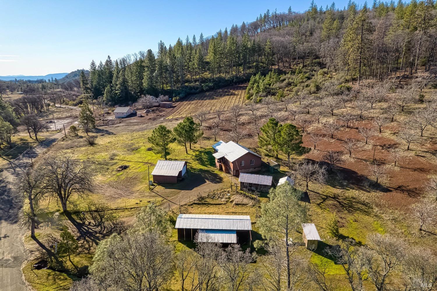 11415 Seigler Springs North Road Property Photo 1