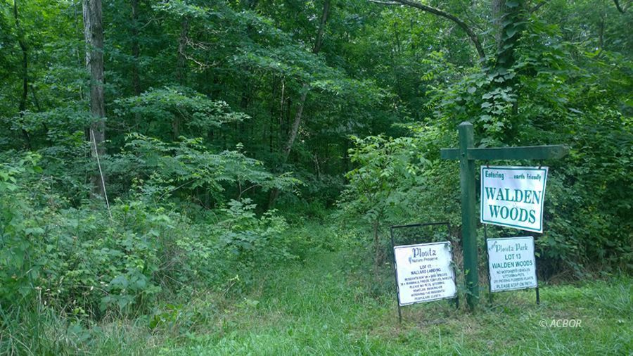 Lot 17 Walden Trail Property Photo 2