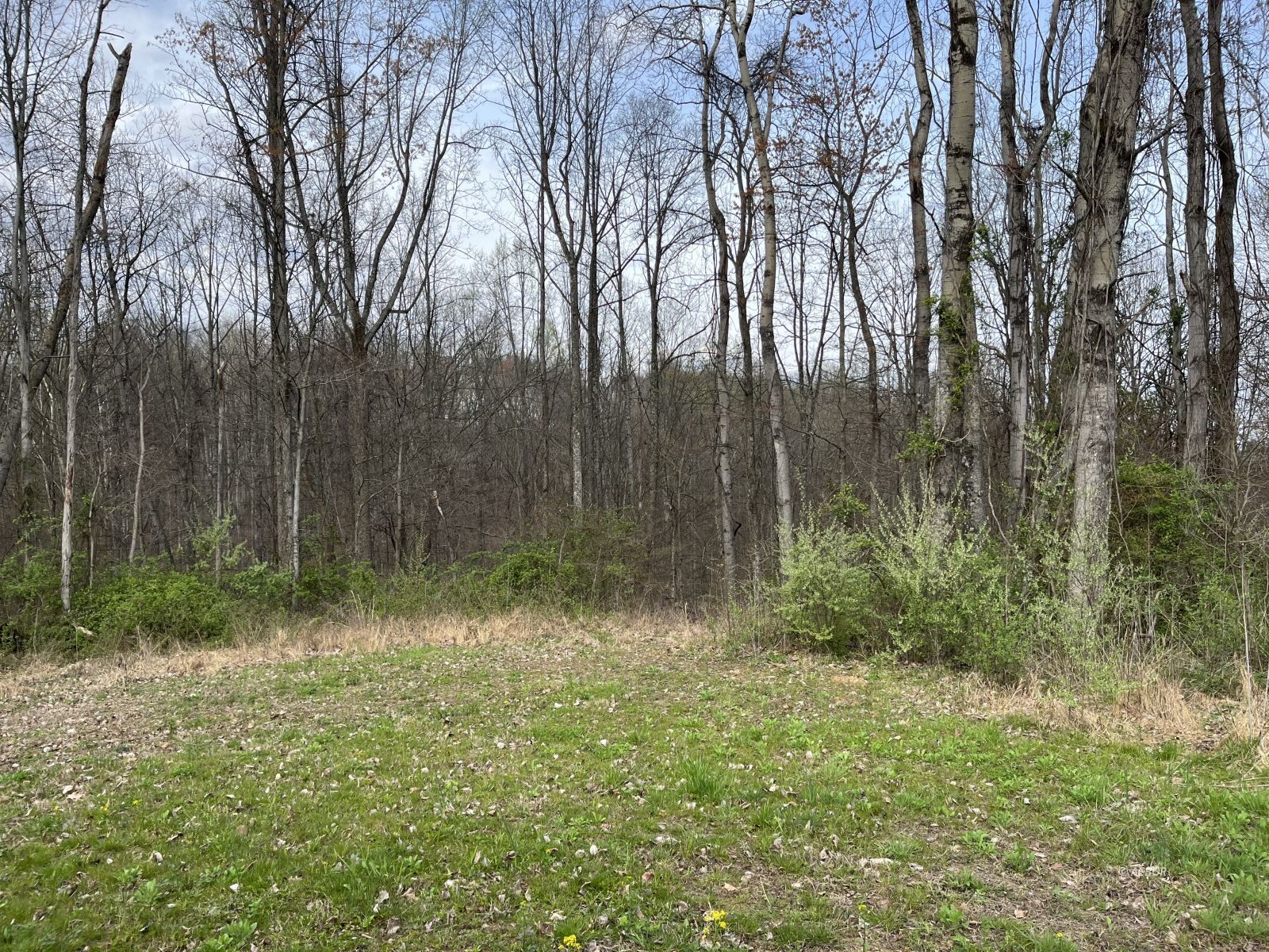 15848 Telephone Tower Rd Property Photo 26