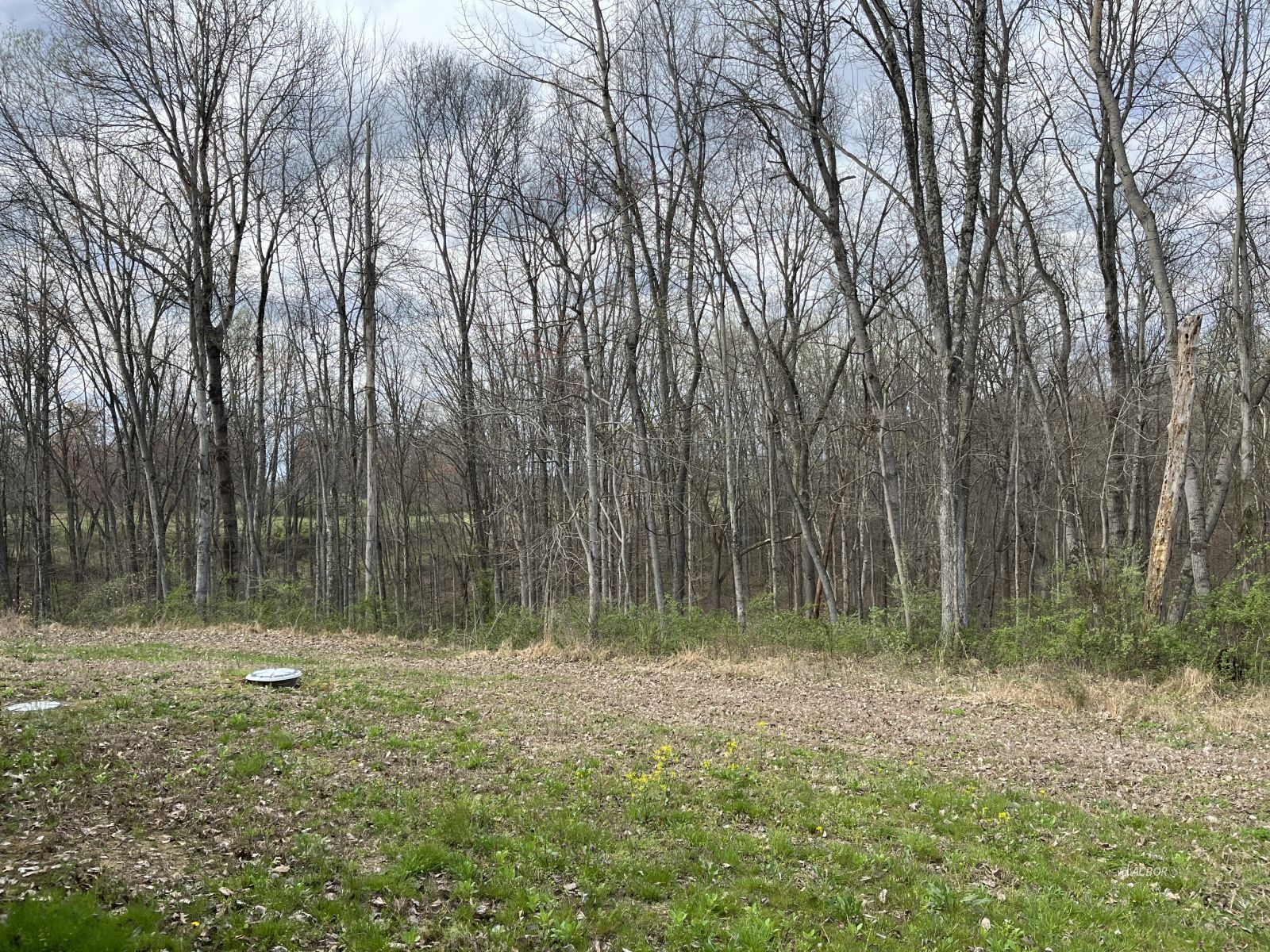 15848 Telephone Tower Rd Property Photo 27