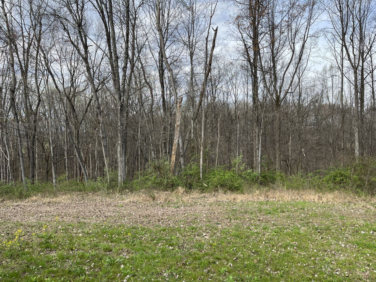 15848 Telephone Tower Rd Property Photo 28