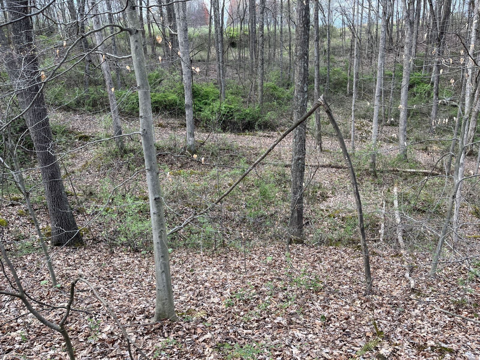 15848 Telephone Tower Rd Property Photo 35