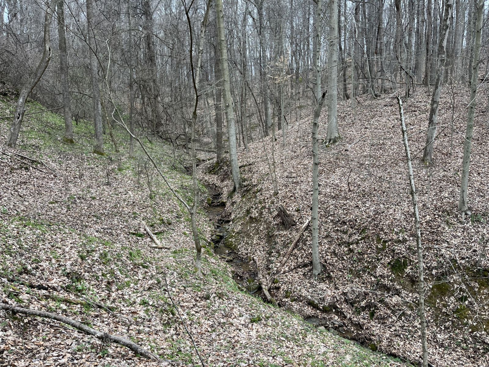 15848 Telephone Tower Rd Property Photo 41