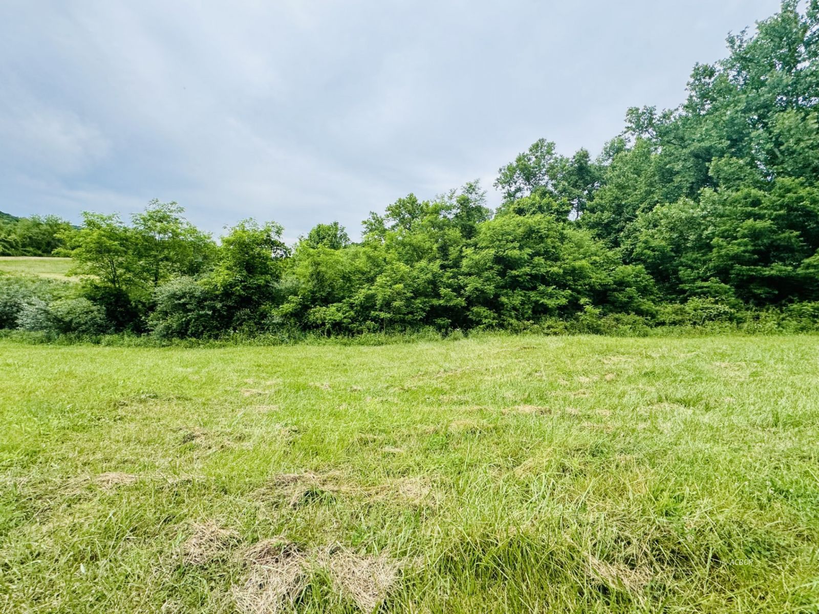 37406 New Lima Rd Property Photo 5