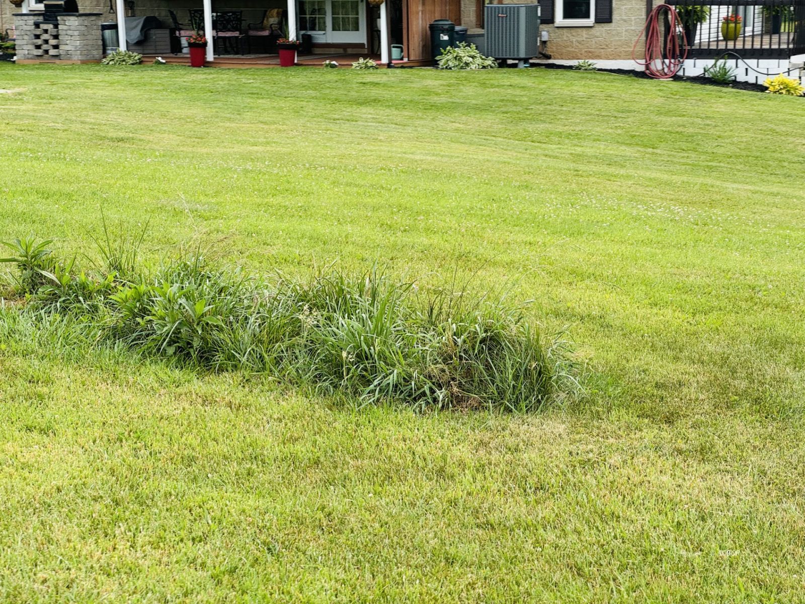 37406 New Lima Rd Property Photo 9
