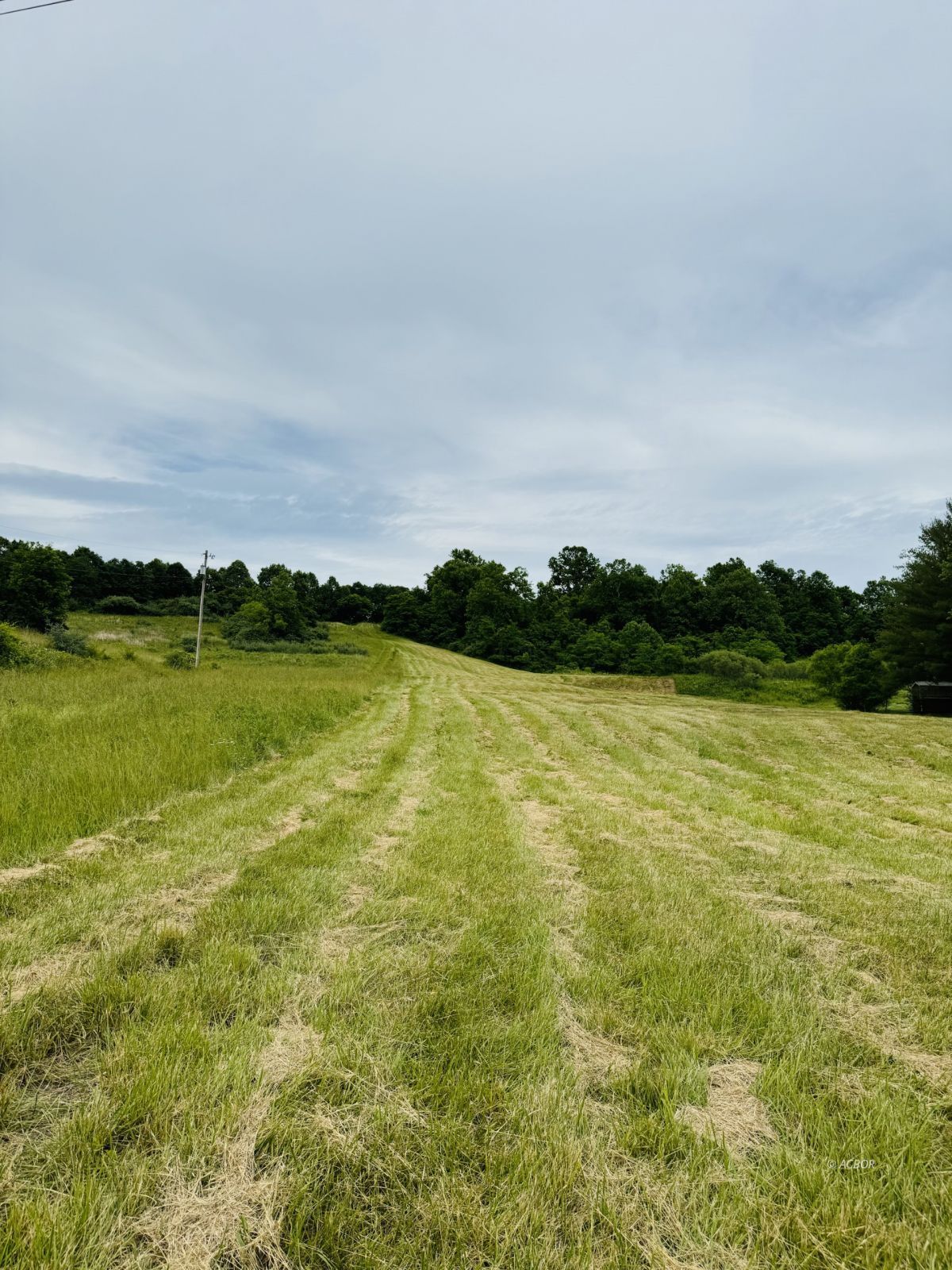 37406 New Lima Rd Property Photo 10