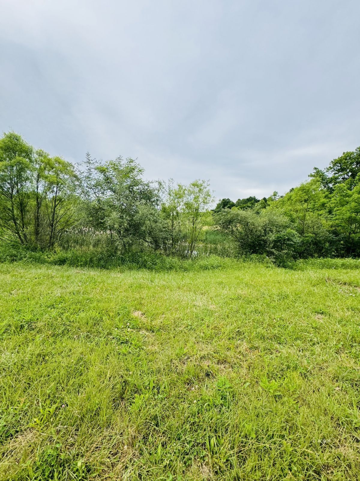 37406 New Lima Rd Property Photo 12