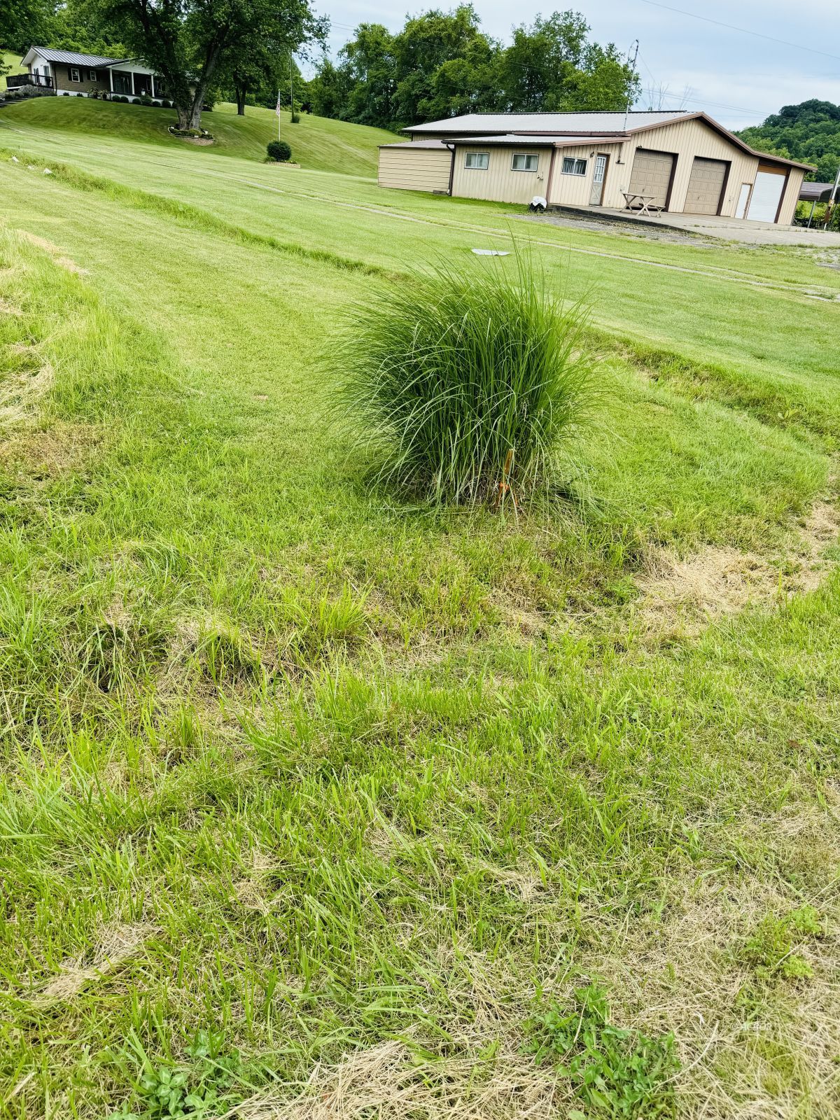 37406 New Lima Rd Property Photo 14