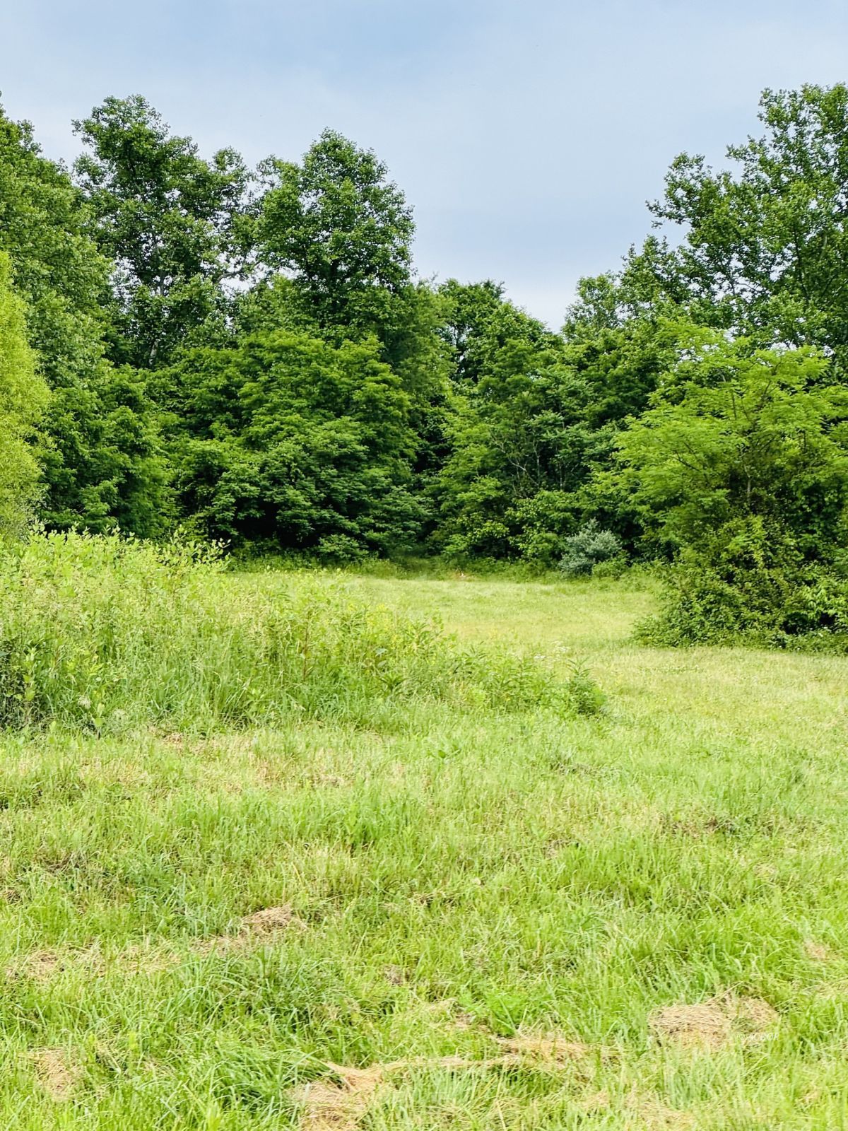 37406 New Lima Rd Property Photo 18