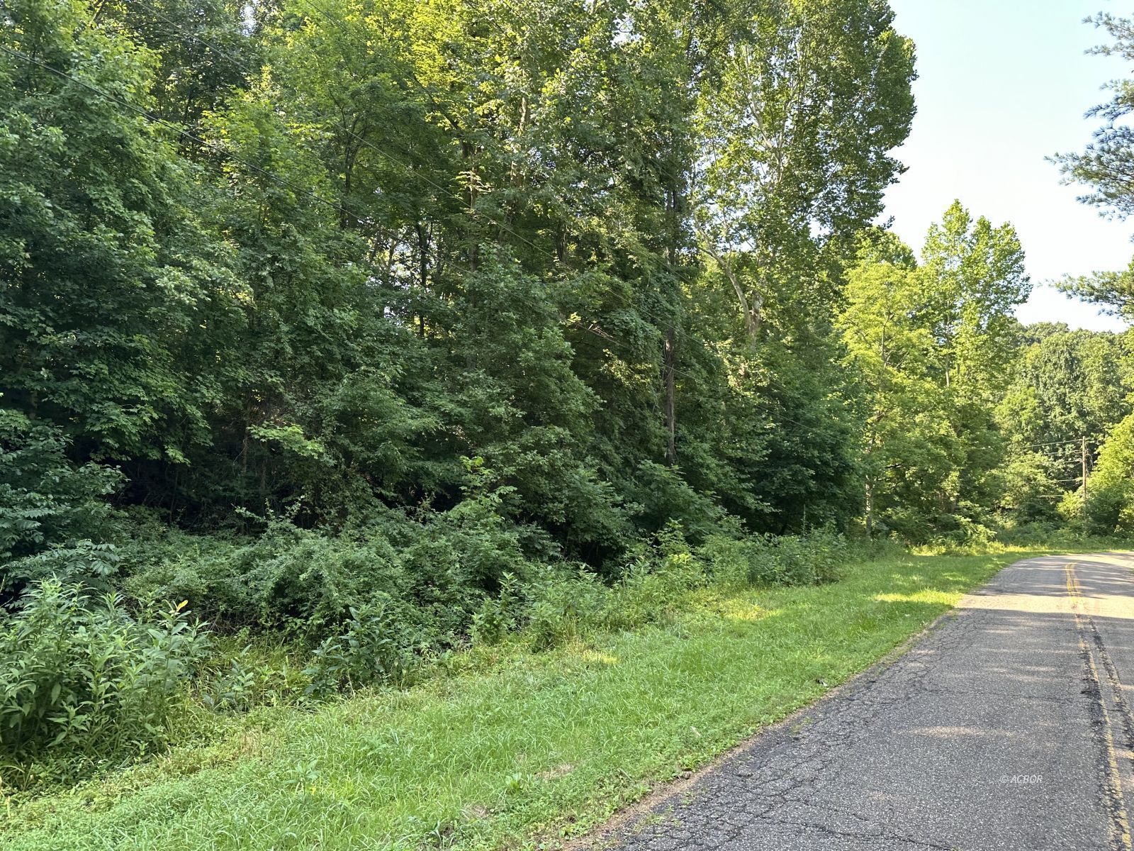 Bowmans Run/bashan Rd Property Photo 3